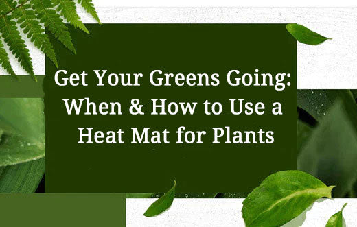 Get Your Greens Going: When &amp; How to Use a Heat Mat for Plants