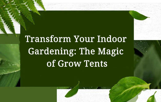 Transform Your Indoor Gardening: The Magic of Grow Tents