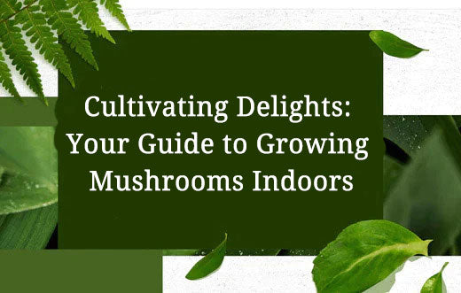 Cultivating Delights: Your Guide to Growing Mushrooms Indoors