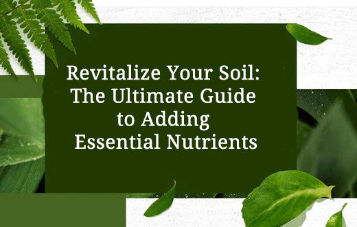 Revitalize Your Soil: The Ultimate Guide to Adding Essential Nutrients