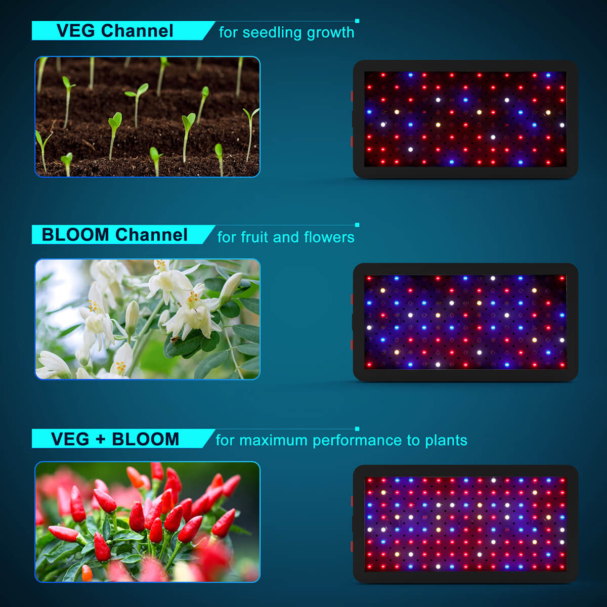 PHLIZON DS1200 Double Switch LED Grow Light with Daisy Chain Design